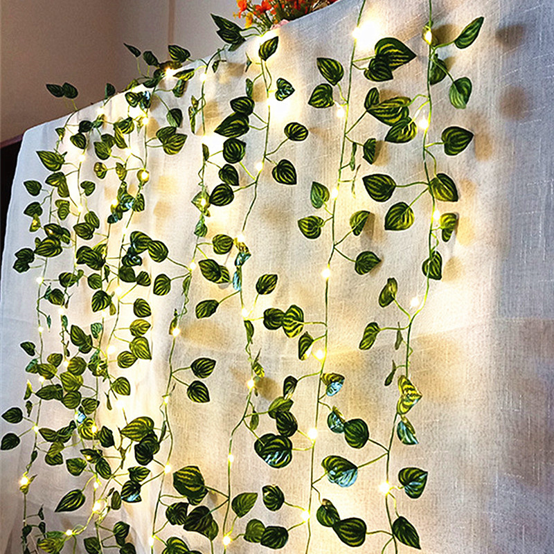 LED Wedding String Lights Batt - đánh giá và giá Lighting Decor For Home